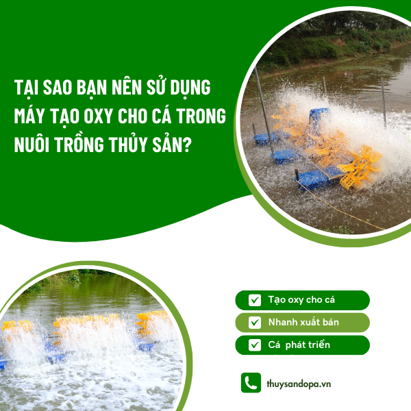 Tại Sao Bạn Nên Sử Dụng Máy Tạo Oxy Cho Cá Trong Nuôi Trồng Thủy Sản?