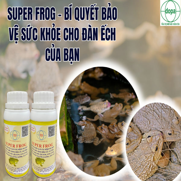 SUPER FROG - Bí Quyết Bảo Vệ Sức Khỏe Cho Đàn Ếch Của Bạn