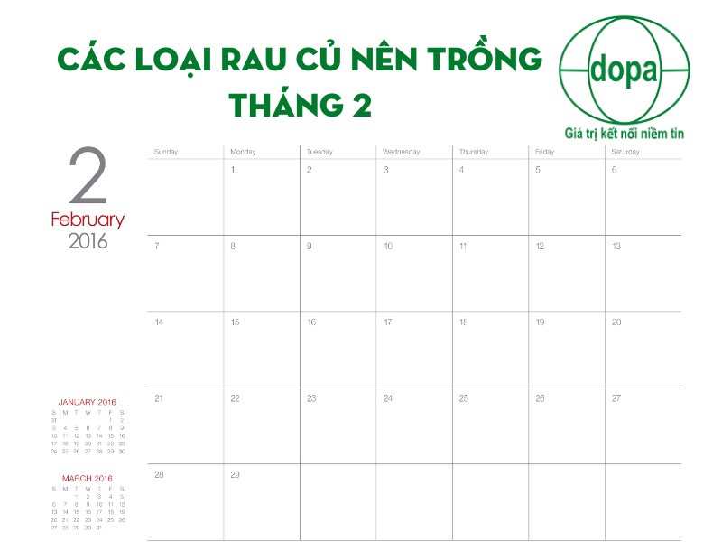 Danh sách các loại rau củ bạn nên trồng vào tháng 2