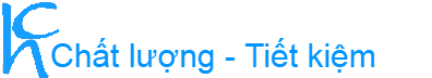 logo bachhoahongchi.com