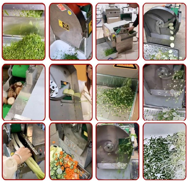 Máy thái hành lá sả YDQC-20 (dạng băng tải)