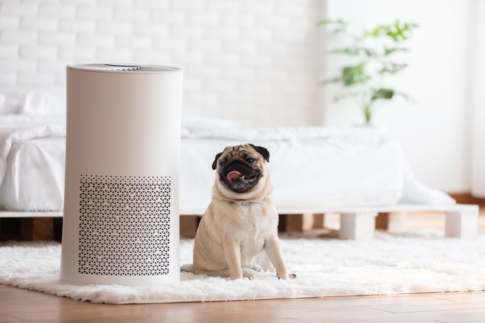 Máy lọc không khí cũ - hiệu quả, tiết kiệm