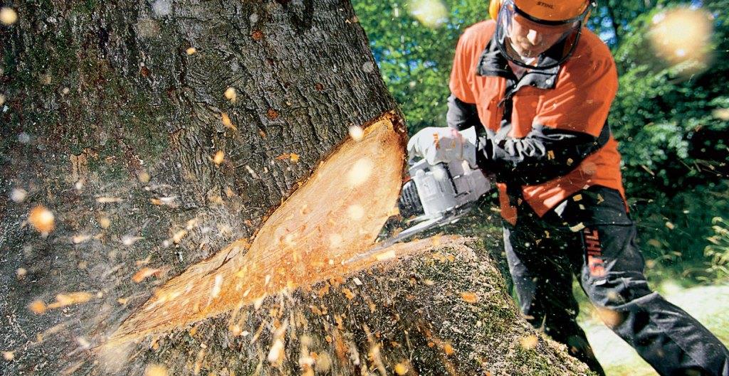khởi động máy cưa xích đúng kỹ thuật
