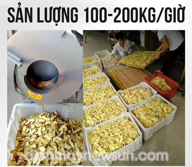 Máy thái lát sợi măng tươi