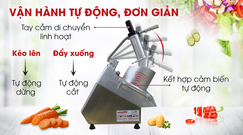 Máy thái rau củ quả VC60