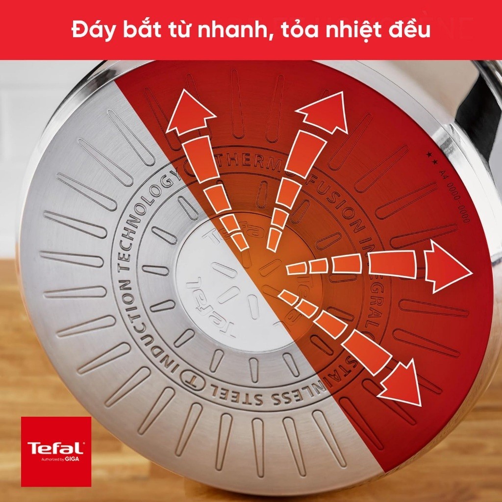 Nồi hấp Inox 18/10 Tefal Couscous Primary E3089504 24cm - Thép không gỉ - Đế 3 lớp - Bảo Hành 24 Tháng - HAPOS HOF