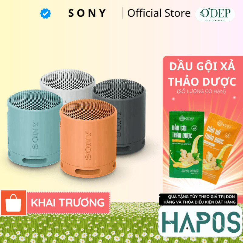 Loa không dây di động Sony SRS-XB100 - HAPOS HEL