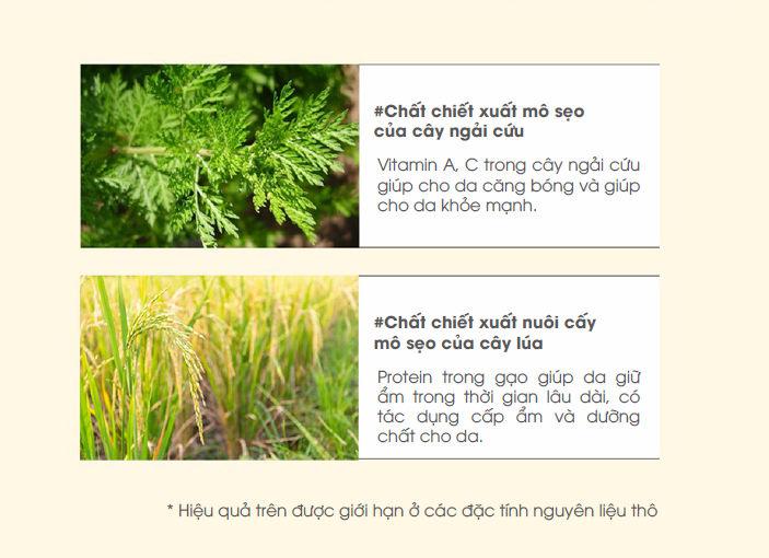 Kem Dưỡng Da Friendly Baby Moisture Cream An Toàn Cho Trẻ Em