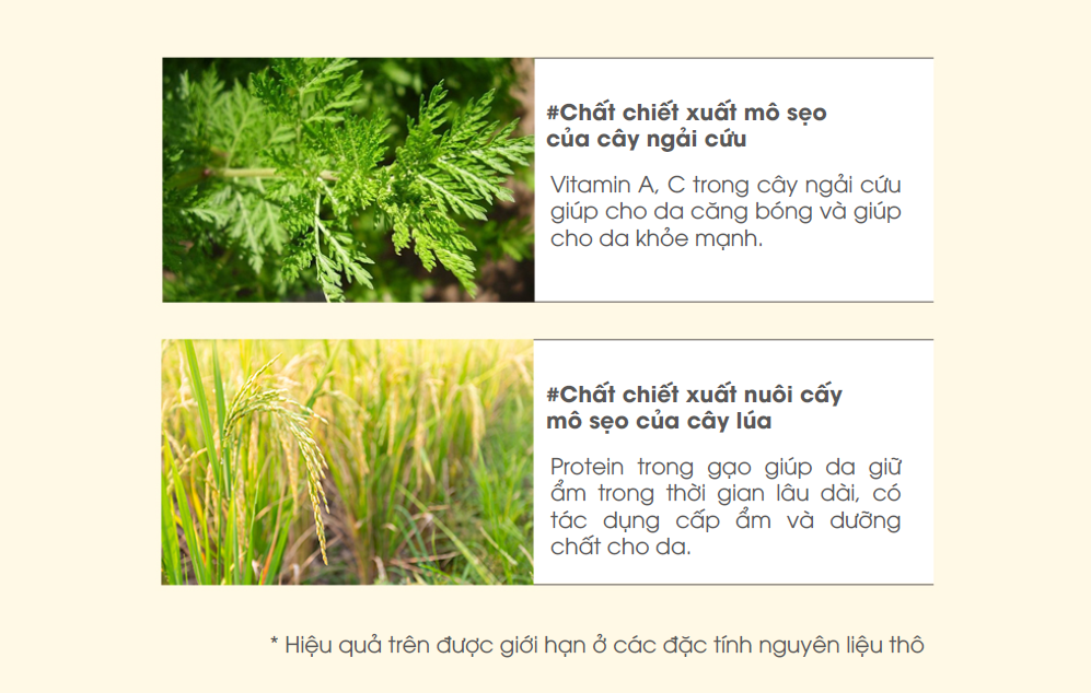 Sữa Dưỡng Ẩm Cho Bé Friendly Baby Lotion 250ml chiết xuất từ thực vật 100% thuần chay