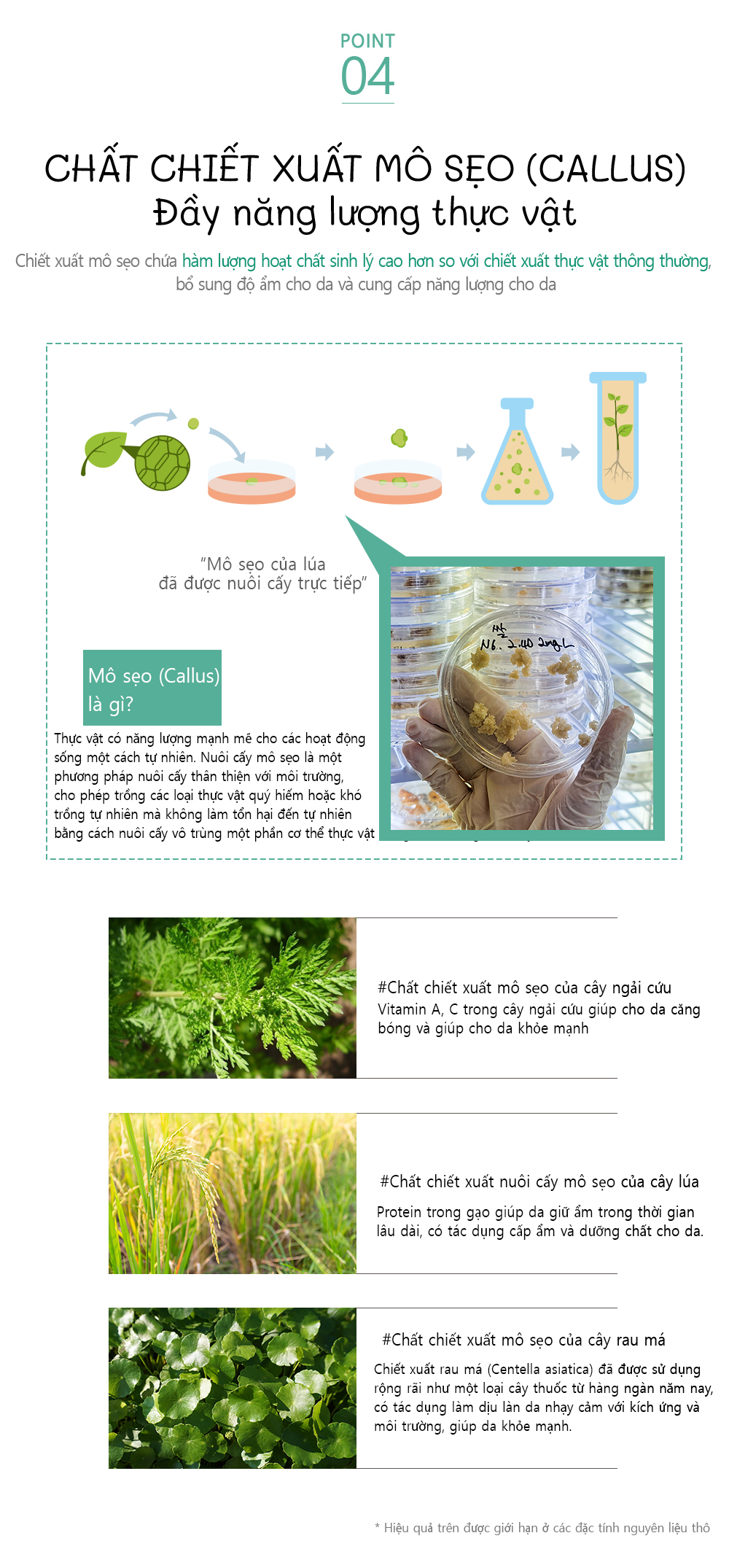 Kem Bôi Da Cho Bé Mr. Tiger - Hàn Quốc 30ml Giúp Giảm Mẩn Ngứa, Dịu Da, Dưỡng Ẩm