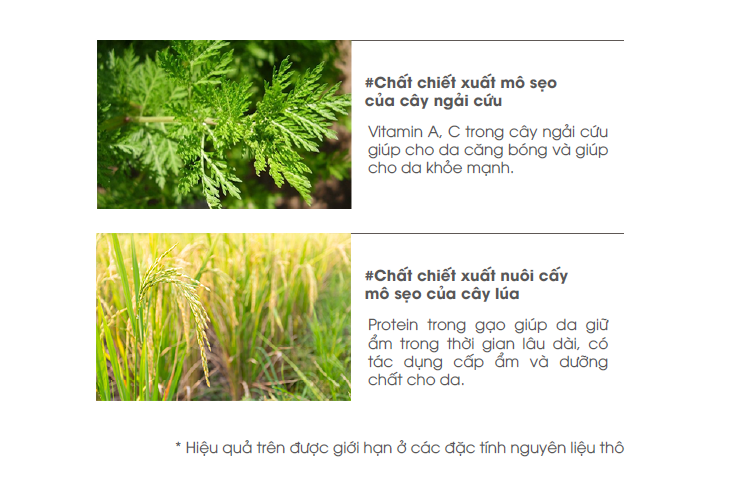 Gel dưỡng da cho bé Friendly Baby Smoothing Gel 200ml giảm hăm, mẩn ngứa, giúp da mịn màng khô thoáng