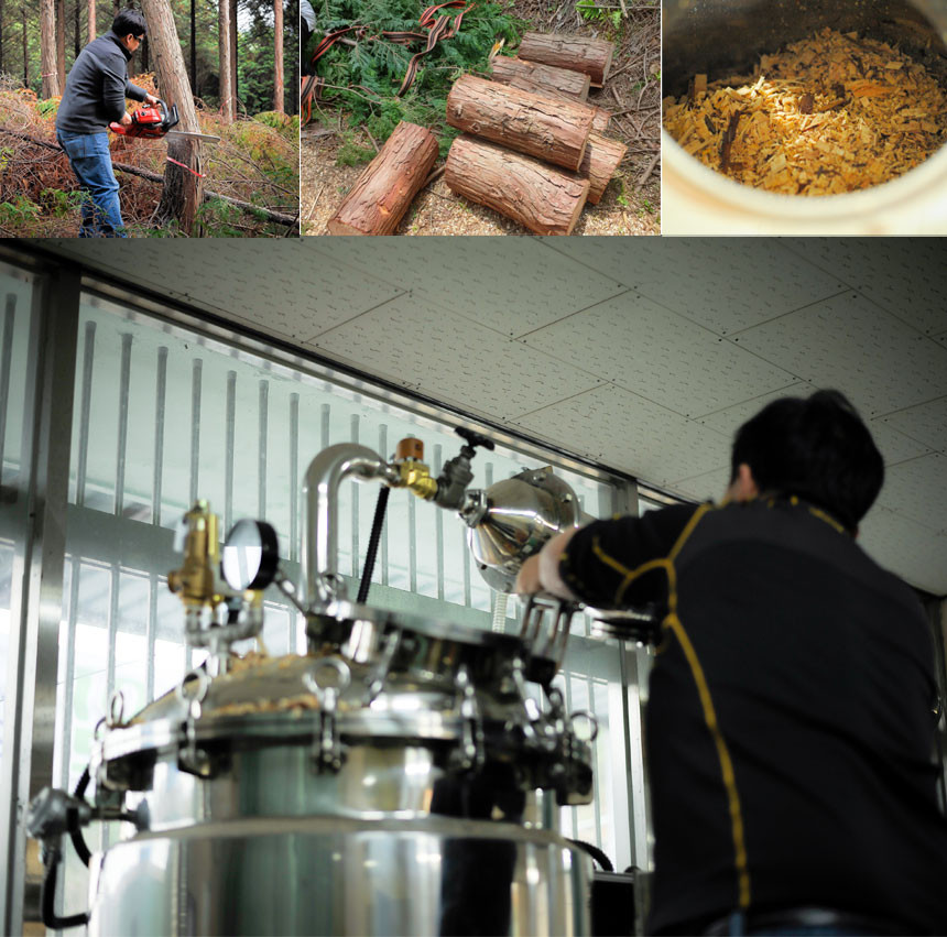 Dầu Gội Arboretum Hàn Quốc Trị Gàu Chống Ngứa Da đầu Không Gây Khô Giúp Tóc Chắc Khỏe Chai 500ml Thuần Chay 100%