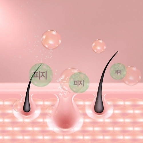 Dầu Gội Arboretum Hàn Quốc Trị Gàu Chống Ngứa Da đầu Không Gây Khô Giúp Tóc Chắc Khỏe Chai 500ml Thuần Chay 100%