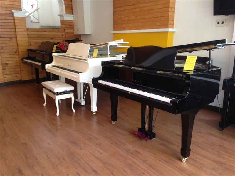 Nên học nhạc cụ gì dễ chơi khi mới bắt đầu?