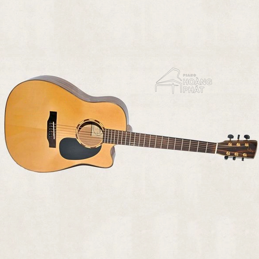 Guitar Acoustic J-550-D Điệp