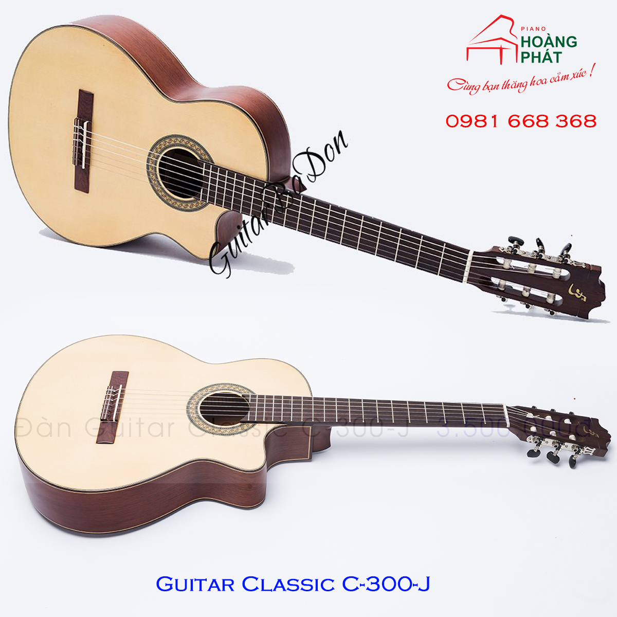 Guitar Classic C-300-J