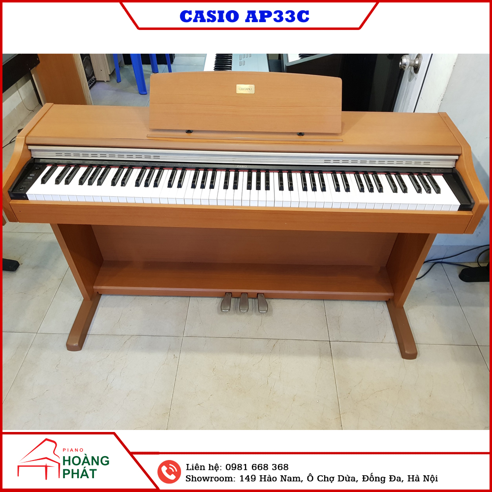 CASIO AP-33C