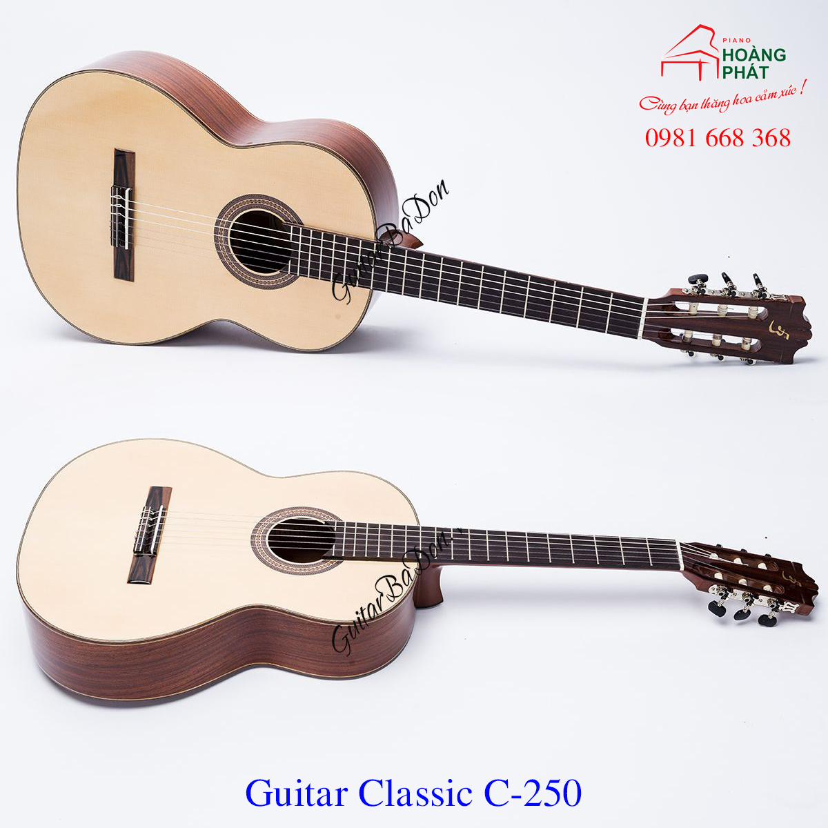 Guitar Classic C-250