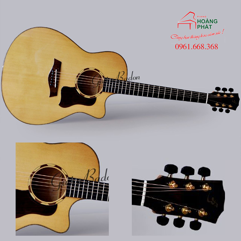 Guitar Acoustic - T550C (Gỗ Còng)