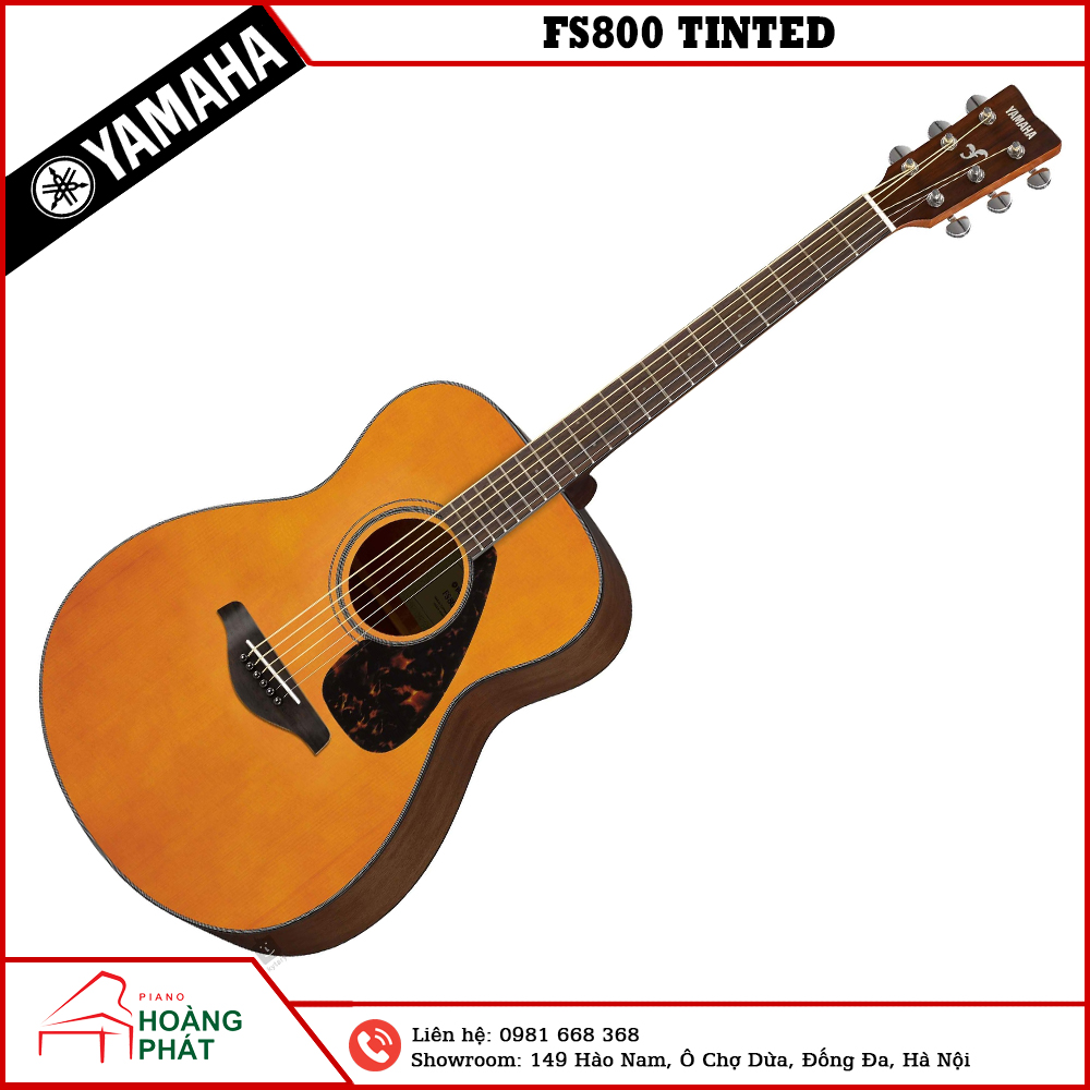 GUITAR YAMAHA FS800 TINTED