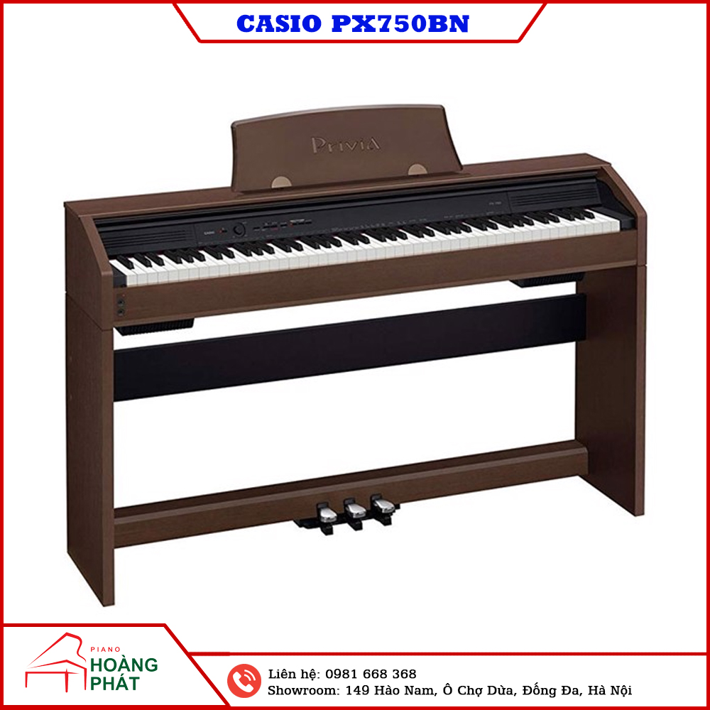 CASIO PX750BN ( nâu đậm)