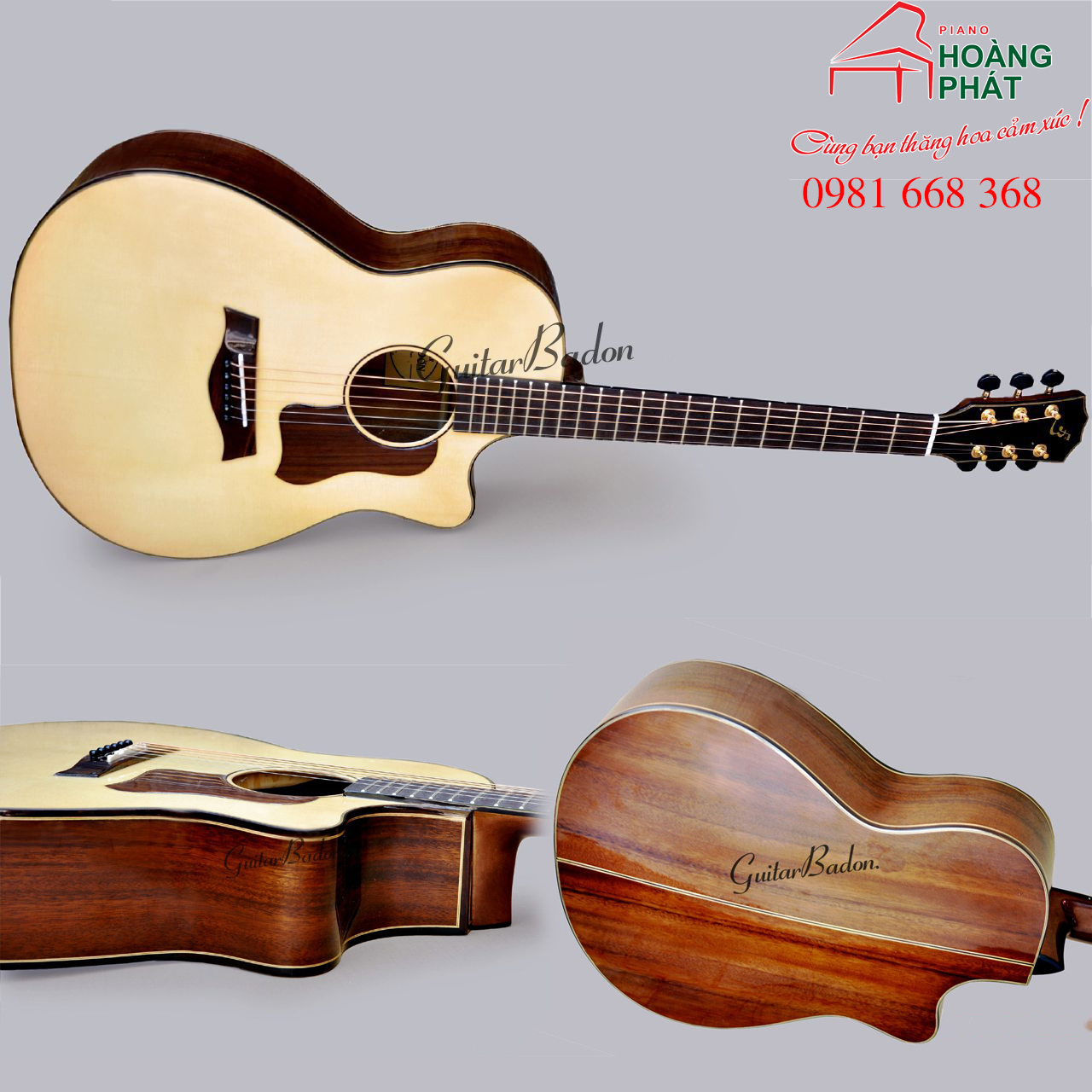 Guitar Acoustic- T550D ( Gỗ Điệp)