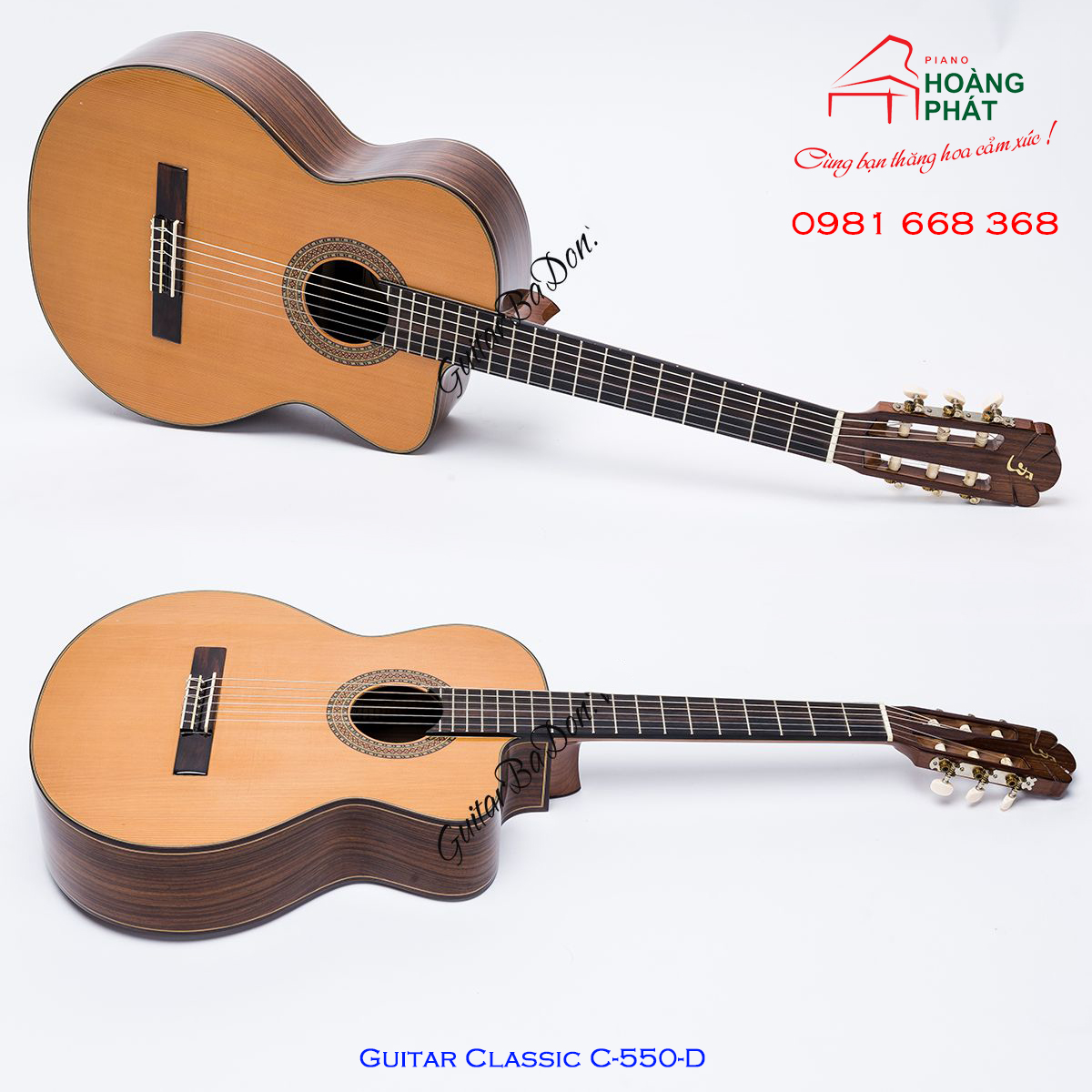 Guitar Classic C-550-D