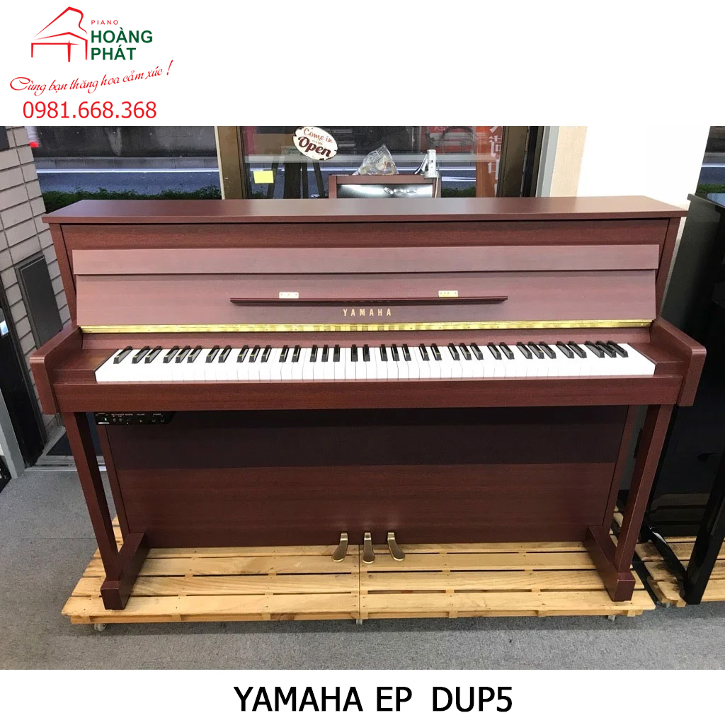 YAMAHA DUP5
