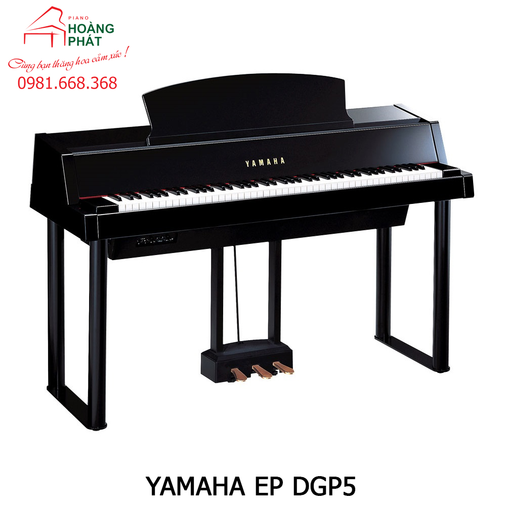 YAMAHA DGP5