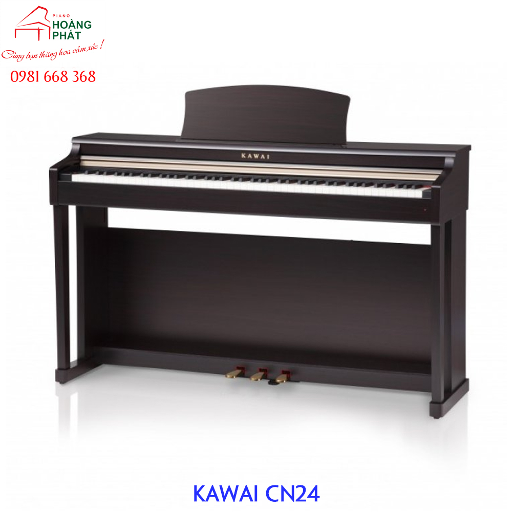 KAWAI CN24