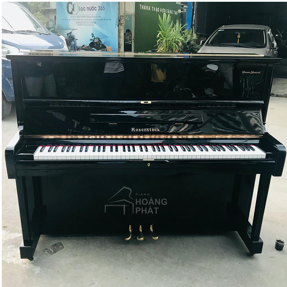 Regency Piano R2 Rosenstock R2