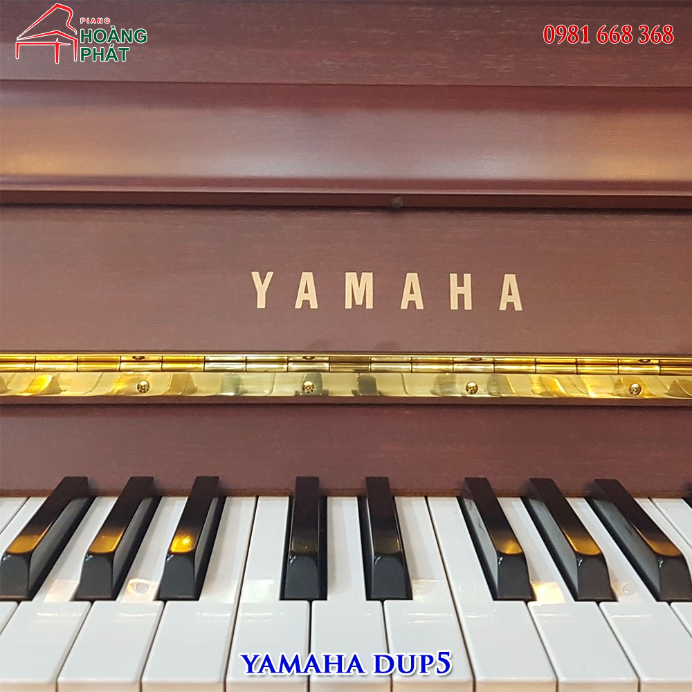 YAMAHA DUP-5