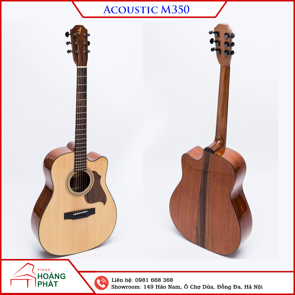 Guitar Acoustic M350