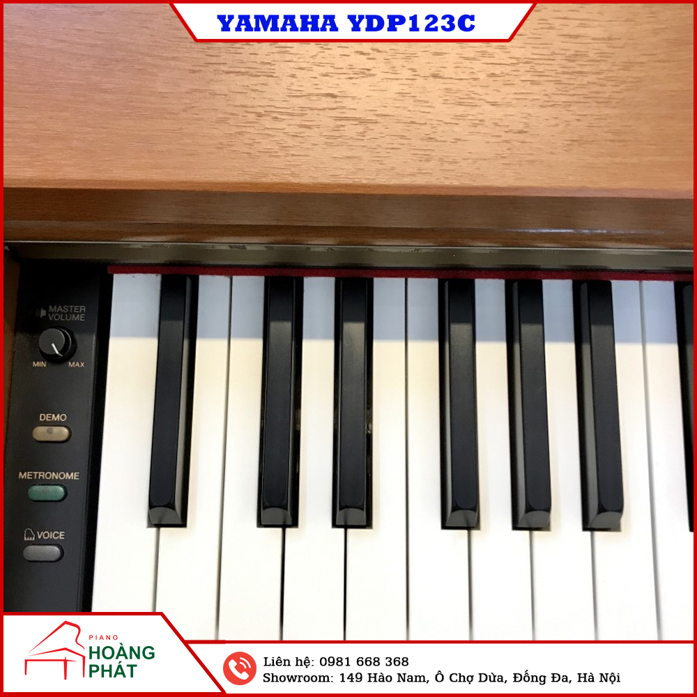 YAMAHA YDP123C