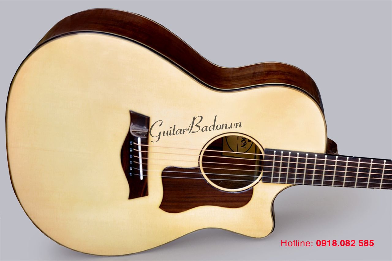 Guitar Acoustic- T550D ( Gỗ Điệp)