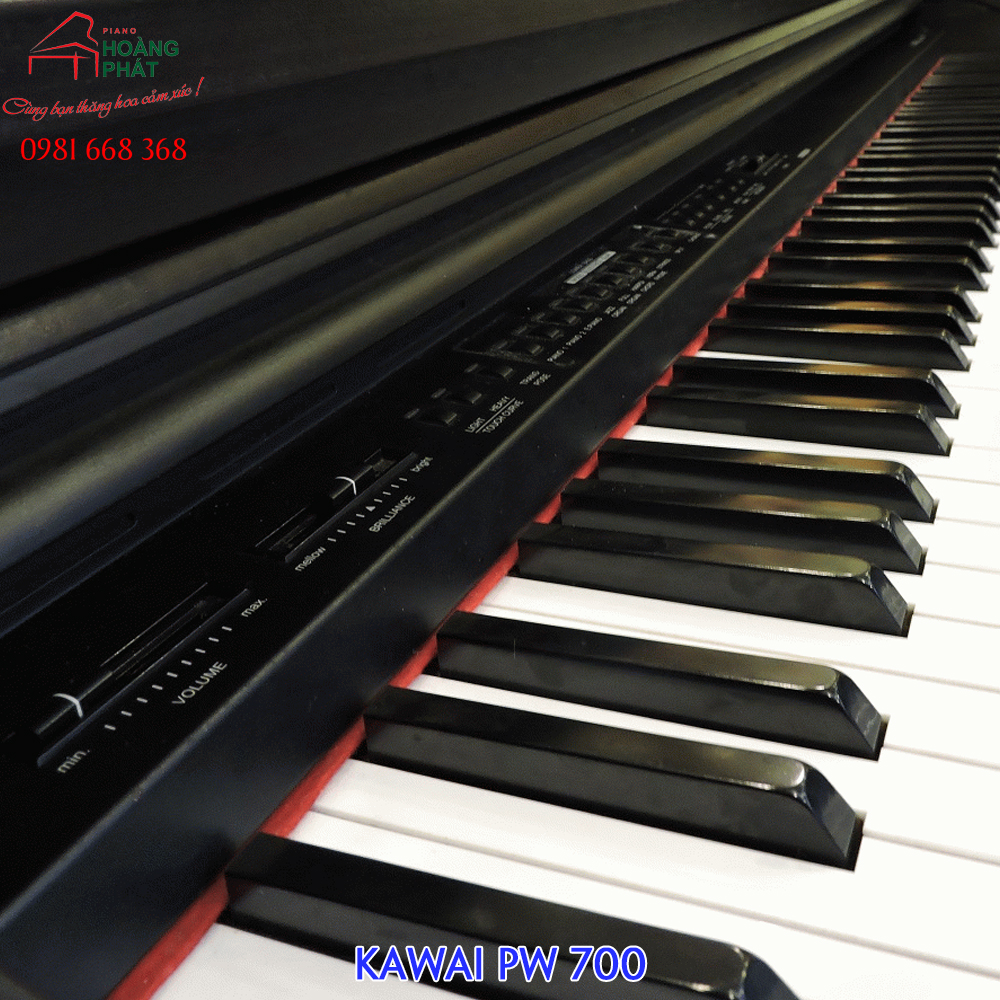 KAWAI PW-700