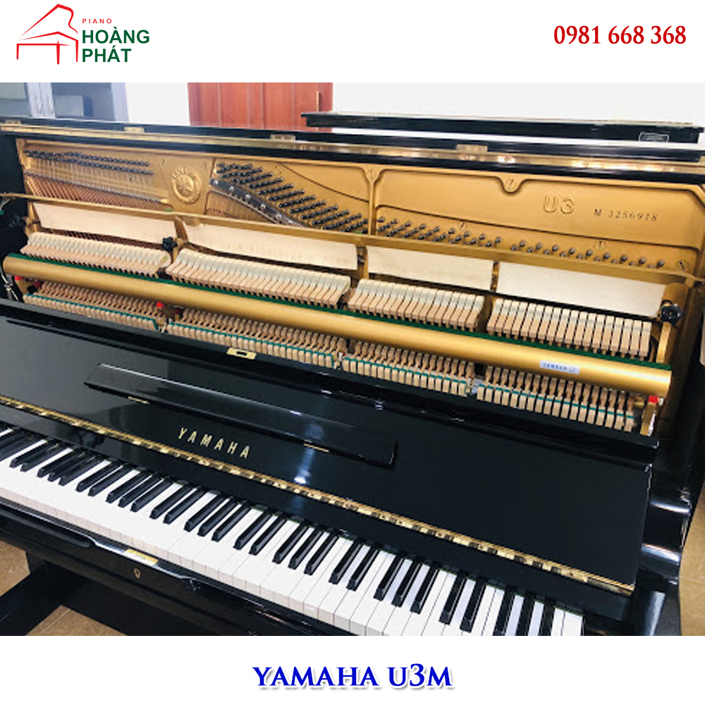 YAMAHA U3M