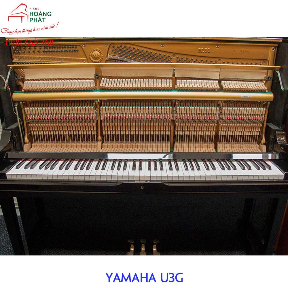 YAMAHA U3G