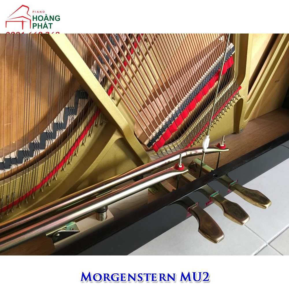 Morgenstern MU2