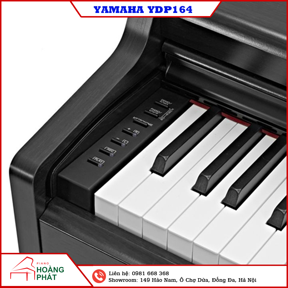 Yamaha YDP164