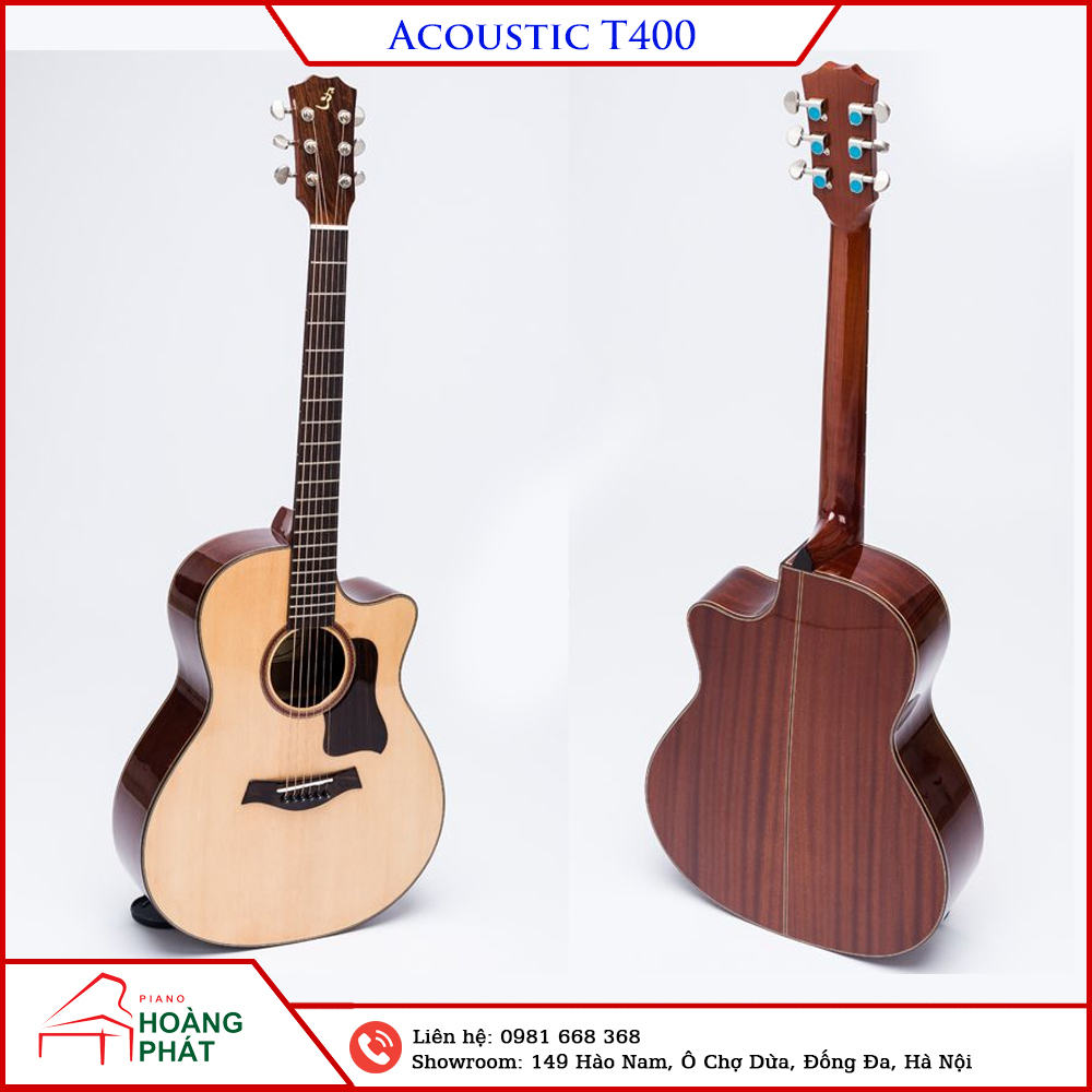 Guitar Acoustic T400