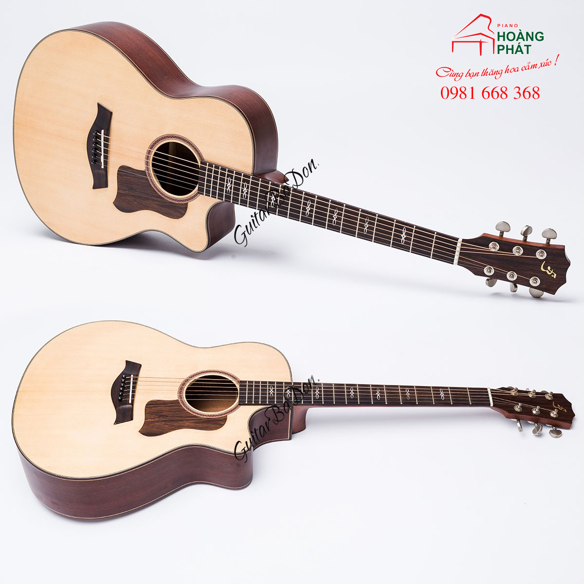 Guitar Acoustic T420