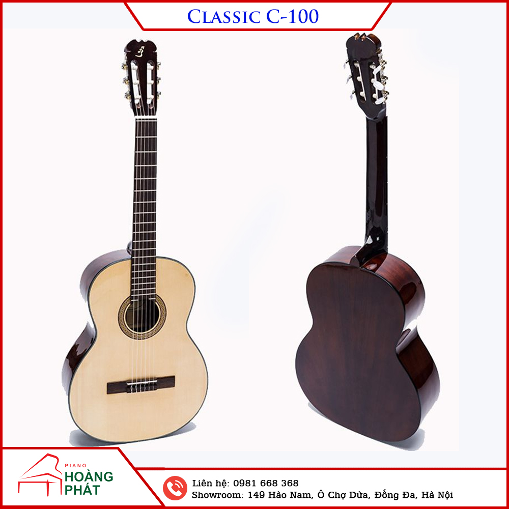 Guitar Classic C-100