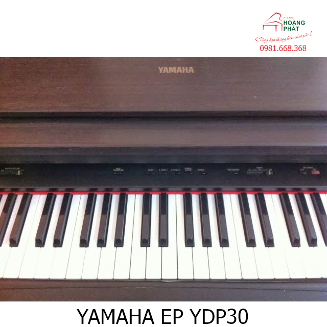 YAMAHA EP YDP300