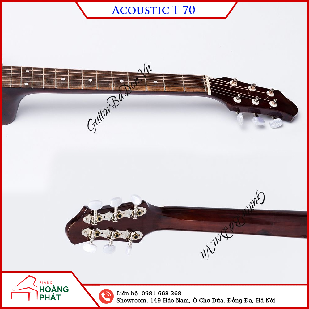 Guitar Acoustic T70