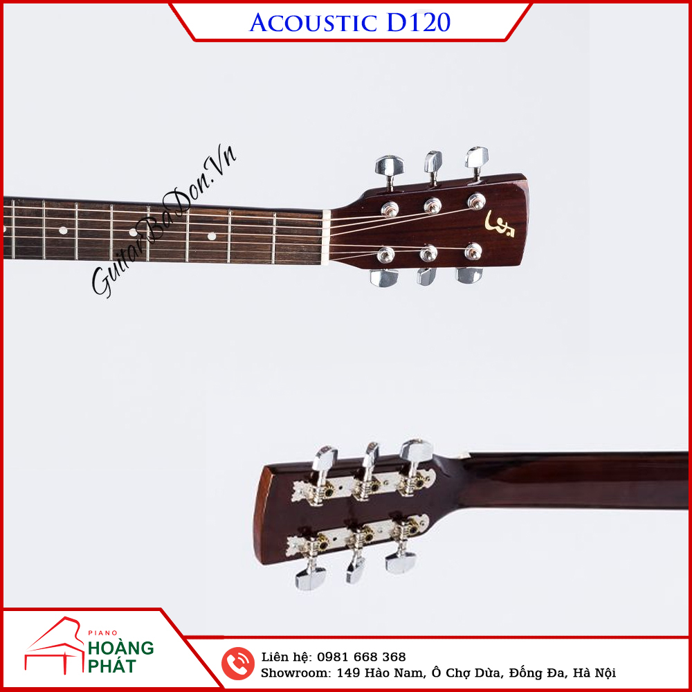 Guitar Acoustic D120