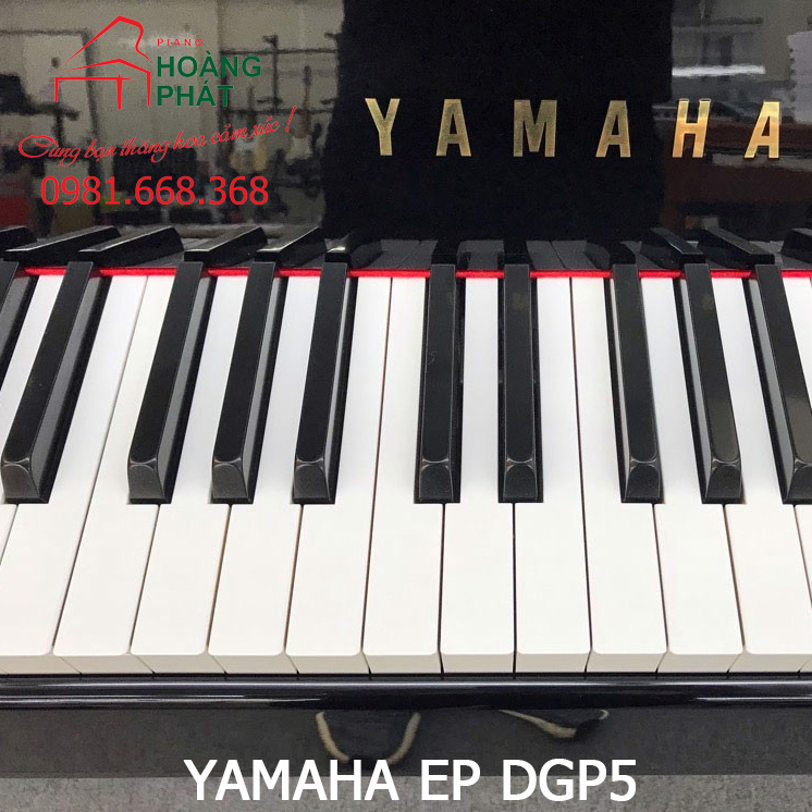 YAMAHA DGP5