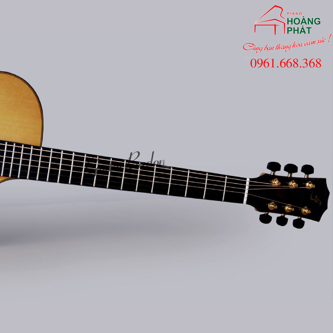 Guitar Acoustic - T550C (Gỗ Còng)