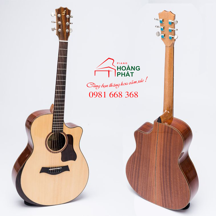 Guitar Acoustic T450 (có gù )