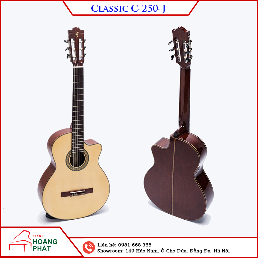 Guitar Classic C-250-J